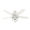 Hunter 52" 5 Blade Lincoln Ceiling Fan with LED Light Kit and Pull Chain