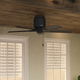 Hunter 44" 5 Blade Terrace Cove Low Profile Damp Rated Ceiling Fan and Pull Chain