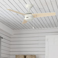 Hunter 44" 3 Blade Cassius Damp Rated Ceiling Fan and Pull Chain