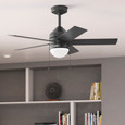 Hunter 44" 5 Blade Rogers Ceiling Fan with LED Light Kit and Pull Chain