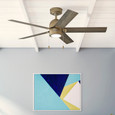 Hunter 52" 5 Blade Erling Ceiling Fan with LED Light Kit and Pull Chain