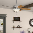 Hunter 52" 5 Blade Pros Best Ceiling Fan with LED Light Kit and Pull Chain HFC-1000336