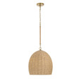 Crystorama JAC-10500 Jace 1 Light Pendant