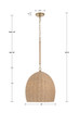 Crystorama JAC-10500 Jace 1-Light Pendant
