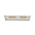 WAC Lighting Low Voltage Multiple Spots 2 Light Housing