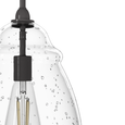 Hunter Dunshire Curved Vase Clear Glass 1-Light 5.25 Inch Mini-Pendant
