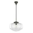 Hunter Saddle Creek Clear Seeded Glass 1-Light 16 Inch Pendant