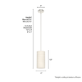 Hunter Solhaven 1-Light Mini-Pendant