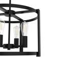Hunter Astwood 4-Light Chandelier Hunter Astwood 4-Light Chandelier