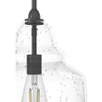 Hunter Lighting Dunshire Bell Clear Seeded Glass 1 Light 12 Inch Medium Pendant