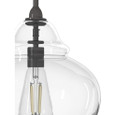 Hunter Lighting Dunshire Ginger Jar Clear Glass 1 Light 12 Inch Medium Pendant