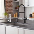 Blanco CAT44299PDSPDUF Catris Flexo Filter-Ready Semi-Pro Pull-Down Dual-Spray Kitchen Faucet - PVD Steel