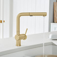 Blanco LIN526FAK Linus Low Arc Pull-Out Dual-Spray Kitchen Faucet