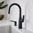 Blanco RIV442FAB Rivana Pull-Down Bar Faucet