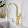 Blanco RIV442FAB Rivana Pull-Down Bar Faucet