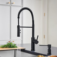 Blanco CAT44299PDSP Catris Semi-Pro Pull-Down Dual-Spray Kitchen Faucet