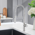 Blanco CAT44299PDSP Catris Semi-Pro Pull-Down Dual-Spray Kitchen Faucet