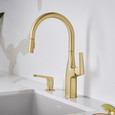 Blanco RIV442HAF Rivana High-Arc Pull-Down Dual-Spray Kitchen Faucet