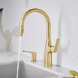 Blanco RIV442HAF Rivana High-Arc Pull-Down Dual-Spray Kitchen Faucet