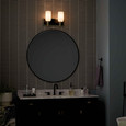 Kichler 55162 - Solia 14.25" 2-Light 2-Arm Bath/Vanity_Light