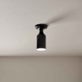 Kichler 52598 - Sisu 9" 1-Light Semi-Flush_Light