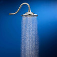 American Standard 8-Inch 2.5 gpm/9.5 L/min Rain Showerhead - AMS-1660680