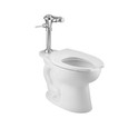 American Standard Ultima Manual Toilet Flush Valve, Diaphragm-Type, 1.6 gpf/6.0 Lpf - AMS-6147161
