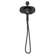 American Standard Spectra Duo 1.8 gpm/6.8 L/min 2-in-1 Hand Shower - AMS-9038254