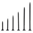 Metallics Screws Bgl Ph Ft DWS Kit St-BP