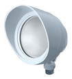 RAB BULLET FLOOD 12W WARM LED 120V W/ HOOD & LENS WHITE