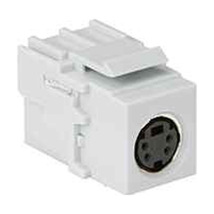 Conduit Connectors & Couplings