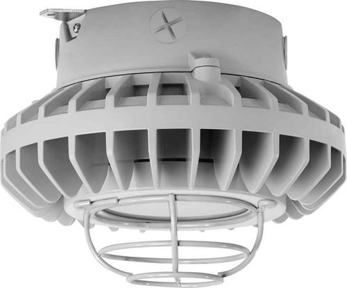 RAB HAZXLED26FF-G HAZARDOUS LIGHTING 2287 LUMENS HAZXLED 26W FROSTED FLAT LENS WIRE GURAD GRAY RAB HAZXLED26FF-G HAZARDOUS LIGHTING 2287 LUMENS HAZXLED 26W FROSTED FLAT LENS WIRE GURAD GRAY