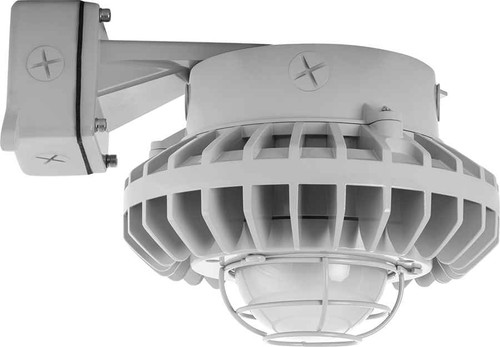 RAB HAZBLED80F-G HAZARDOUS LIGHTING 7214 LUMENS HAZBLED 80W 5000K FROSTED GLOBE WIRE GUARD WALL BRACKET GRAY
