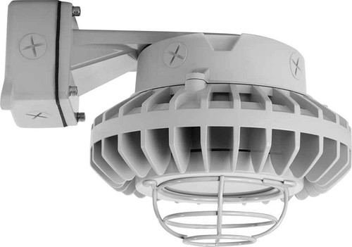 RAB HAZBLED80FF-G/480 HAZARDOUS LIGHTING 5843 LUMENS HAZBLED 80W 5000K 480V FROSTED FLAT LENS WIRE GUARD WALL BRACKET GRAY