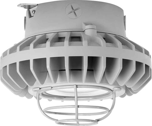 RAB HAZXLED26CF-G HAZARDOUS LIGHTING 3388 LUMENS HAZXLED 26W CLEAR FLAT LENS WIRE GURAD GRAY