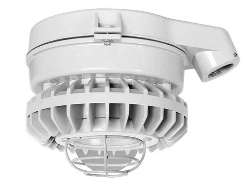 RAB HAZSLED26C-G HAZARDOUS LIGHTING 2979 LUMENS HAZSLED 26W CLEAR GLOBE WIRE GURAD GRAY