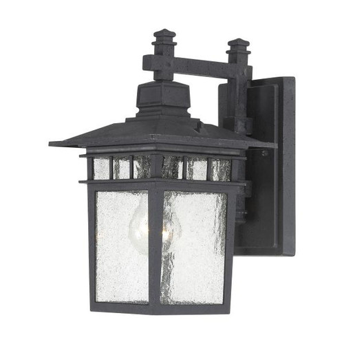 NUVO Lighting NUV-60-4953 Cove Neck - 1 Light - 12 in. - Outdoor Lantern with Clear Seed Glass