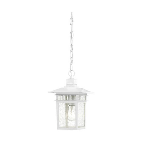 NUVO Lighting NUV-60-4954 Cove Neck - 1 Light - 12 in. - Outdoor Hang with Clear Seed Glass