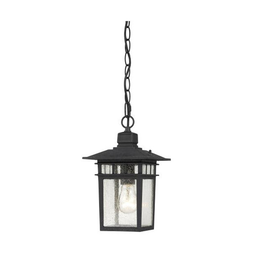 NUVO Lighting NUV-60-4956 Cove Neck - 1 Light - 12 in. - Outdoor Hang with Clear Seed Glass