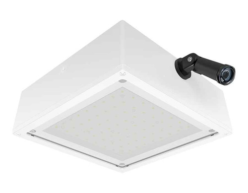 RAB VANLED20YFFRW/PCS2 CANOPY LIGHTS 2892 LUMENS VANLED 20W FLAT FROSTED LENS 277V SWIVEL PHOTOCELL WHITE