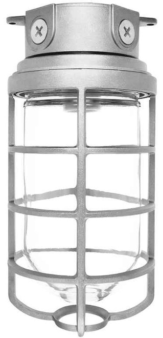 RAB VX200DGB VAPORPROOF 200 CEILING 4 INCHES BOX 1/2 INCH BLACK GLOBEGLOBE CAST GUARD