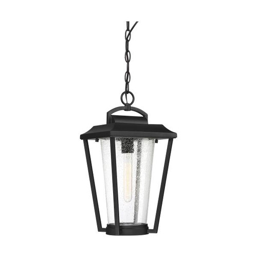 NUVO Lighting NUV-60-6514 Lakeview - 1 Light - Hanging Lantern - Aged Bronze Finish with Clear Seed Glass
