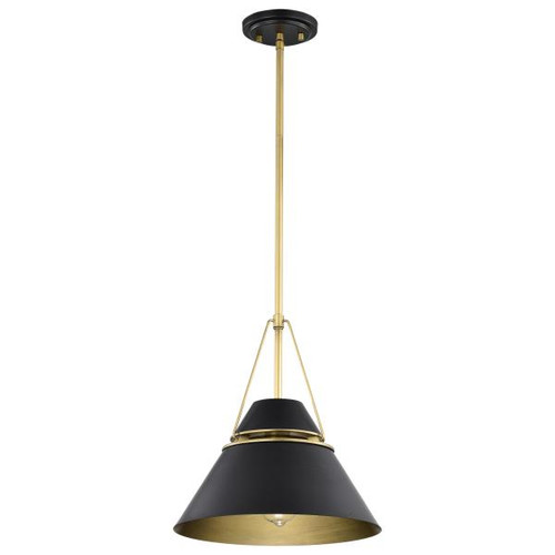 NUVO Lighting NUV-60-7766 Adina 1 Light Medium Pendant - Matte Black and Natural Brass Finish