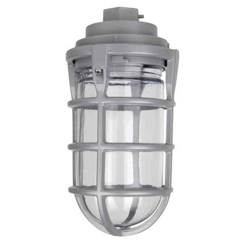 Red Dot VKG-11-C 1/2inch PEND CAP 100W W/GLOBE&GRD