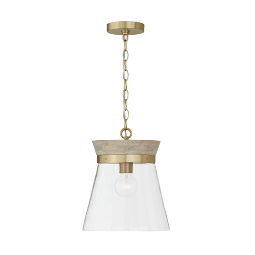 Capital Lighting CAP-347311 Finn Modern 1-Light Pendant