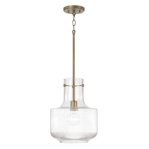 Capital Lighting CAP-345111 Nyla Transitional 1-Light Pendant