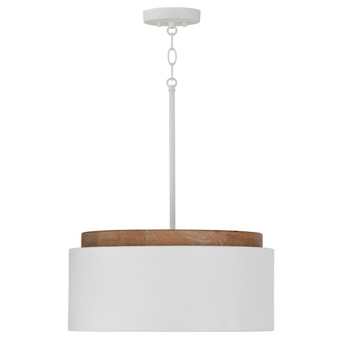 Capital Lighting CAP-350912 Liam Modern 1-Light Pendant