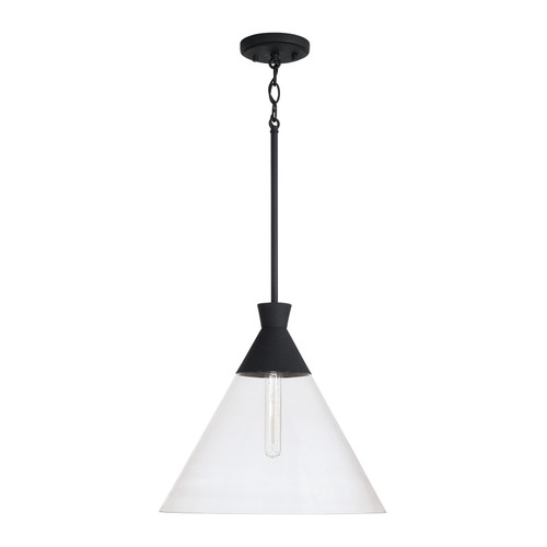 Capital Lighting CAP-350311 Paloma Modern 1-Light Pendant