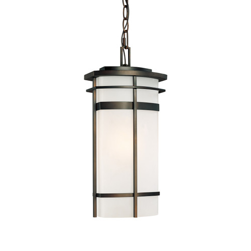 Capital Lighting CAP-9885 Lakeshore Modern 1-Light Outdoor Hanging-Lantern