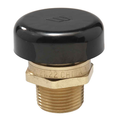 Watts 0556031 3/4 IN Lead Free Brass Vacuum Relief Valve, Male NPT, Protective Cap